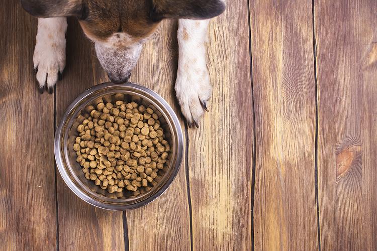 How To Read A Dog Food Ingredients List Without Getting Confused Dog food labels can look complicated, but once you know what to look for, they become much easier to understand. Learn how to spot important ingredients and make sense of your dog’s food label.